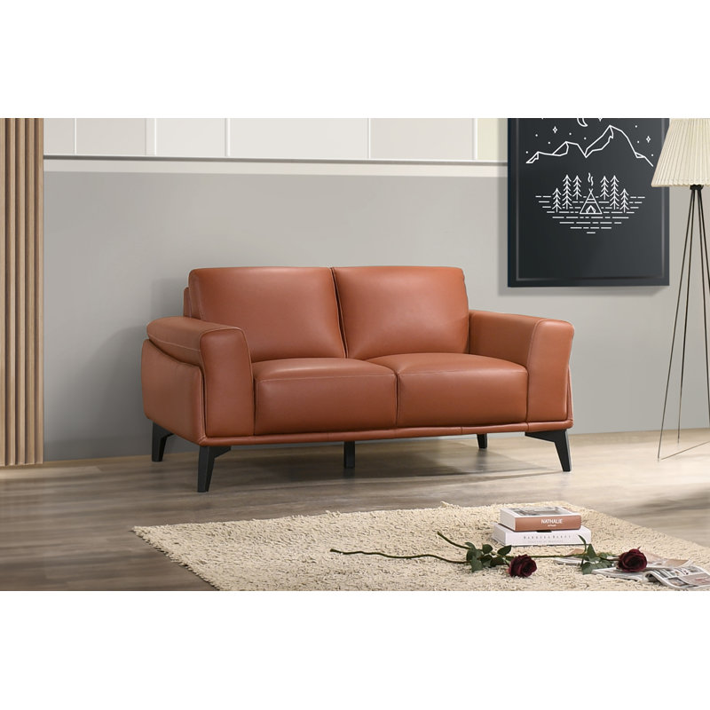 Wayfair leather loveseat hotsell